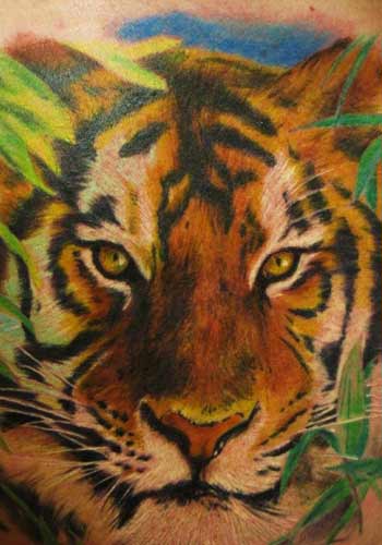 Tattoos - Tiger by Alex De Pase - 29183